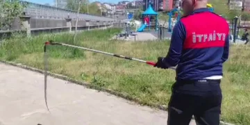 Dernek binasına giren yılanı itfaiye yakalayıp doğaya saldı