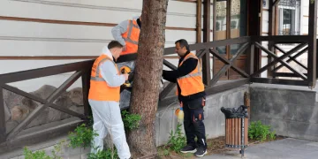 Talas’tan çevre dostu ilaçlama atağı