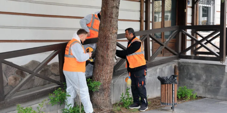 Talas’tan çevre dostu ilaçlama atağı