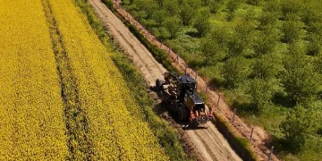 Tarla yolları hasada hazırlanıyor