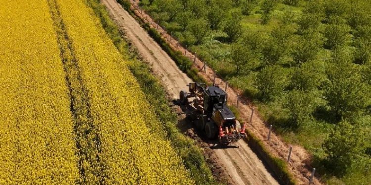 Tarla yolları hasada hazırlanıyor
