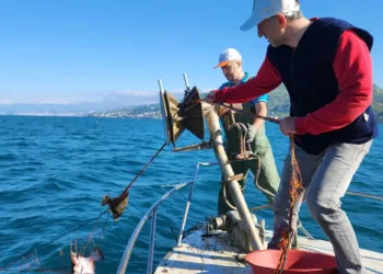 Kalkan av yasağı denetimlerinde 3 bin metre ağa el konuldu