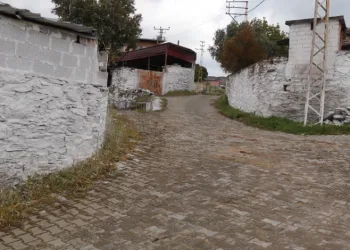 Güney Mahallesi’nde temizlik çalışmaları tamamlandı