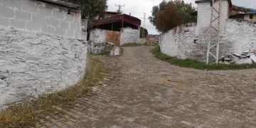 Güney Mahallesi’nde temizlik çalışmaları tamamlandı