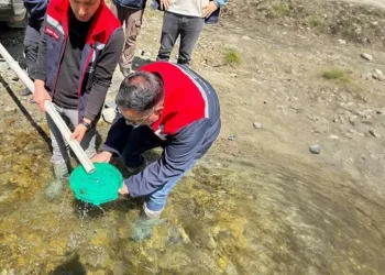 Yığılca’da derelere 50 bin kırmızı benekli alabalık yavrusu bırakıldı