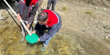 Yığılca’da derelere 50 bin kırmızı benekli alabalık yavrusu bırakıldı