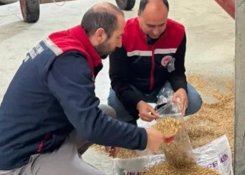 Aydın’da yem işletmeleri denetlendi