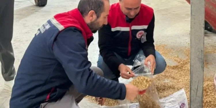 Aydın’da yem işletmeleri denetlendi