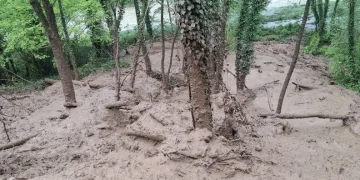 Ordu’da heyelan nedeniyle kapanan yol ulaşıma açıldı