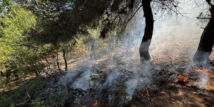 Bilecik’te ormanlık alanda yangın çıktı