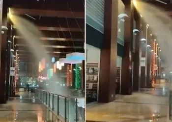 Bursa’da makilik alanda yangın