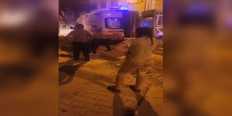 Köpeğin saldırdığı kadın yaralandı