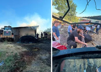 Bursa’da çiftlik yangını: 4 büyükbaş hayvan telef oldu