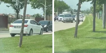 Bursa’da iş yerine giren yılan paniğe neden oldu