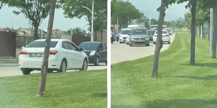 Bursa’da iş yerine giren yılan paniğe neden oldu