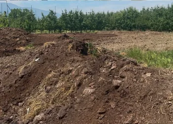 Seyir halindeki araç alevlere teslim oldu