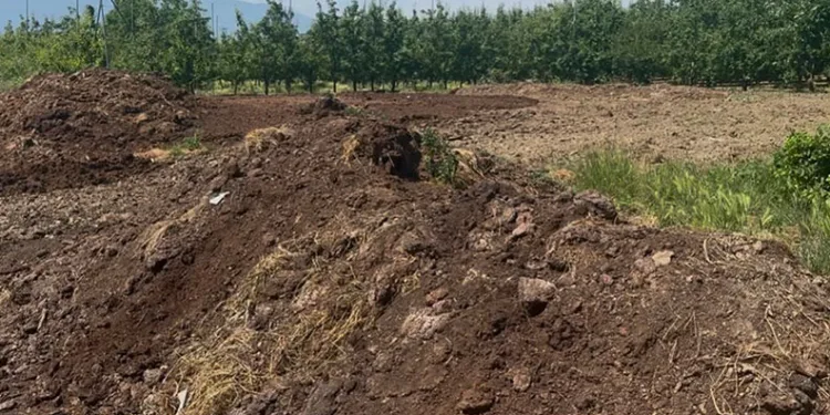 Seyir halindeki araç alevlere teslim oldu