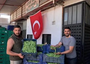 Bursa’da bağ evi alevlere teslim oldu