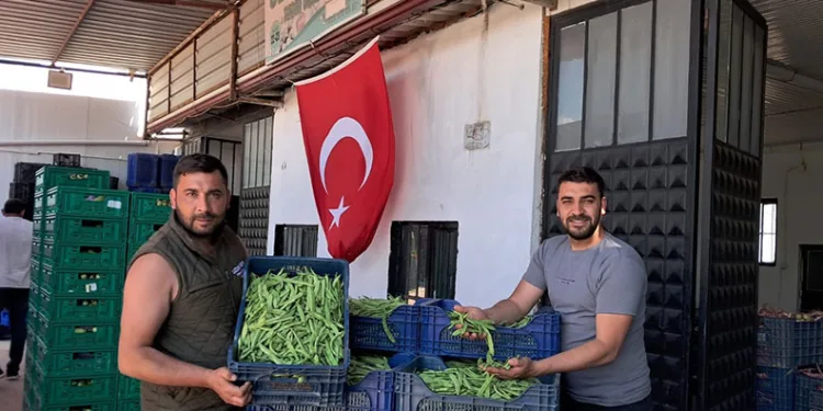 Bursa’da bağ evi alevlere teslim oldu