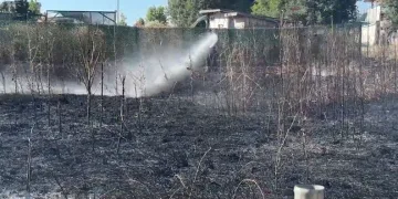 Ormanda keşif çalışması yapan işçi uçuruma yuvarlandı