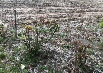 Trafikte “Önüne bak” dedi, ortalık savaş alanına döndü: 6 kişi tutuklandı
