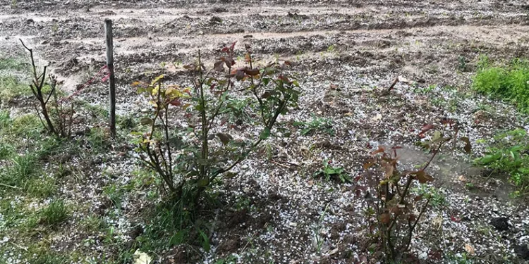 Trafikte “Önüne bak” dedi, ortalık savaş alanına döndü: 6 kişi tutuklandı