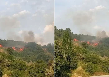 Bursa’da makilik alanda yangın