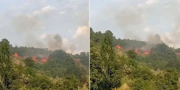 Bursa’da makilik alanda yangın