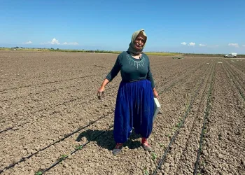 Osmangazi’de yaşayan kamusal mekanlar festivali başladı