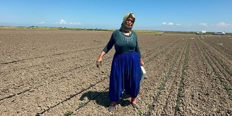 Osmangazi’de yaşayan kamusal mekanlar festivali başladı