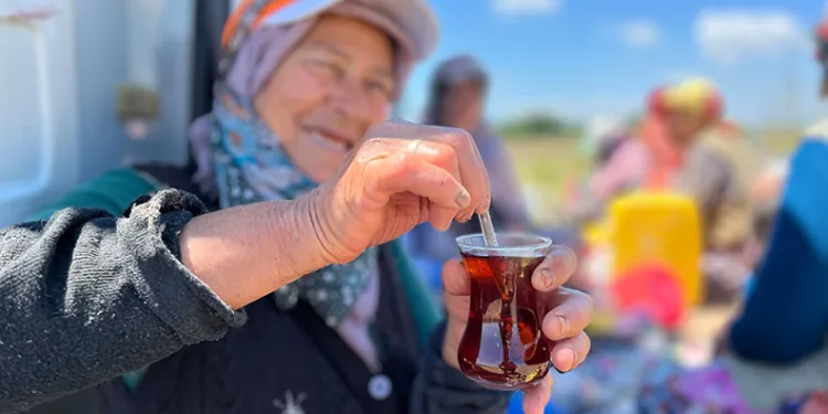 Tarlada yoruluyorlar odun ateşinde matarada çayla dinleniyorlar