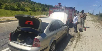 Köpeğin saldırdığı kadın yaralandı