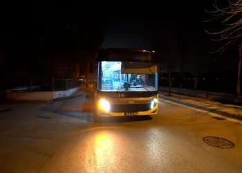 Bursa’da sıcaktan bunalan ayı kana kana su içti