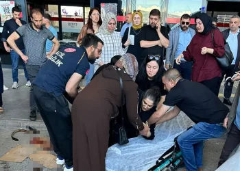 Köpeğin saldırdığı kadın yaralandı
