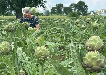 25 ülkeden öğrenciler aynı safta: Mehterle kültür köprüsü kurdular