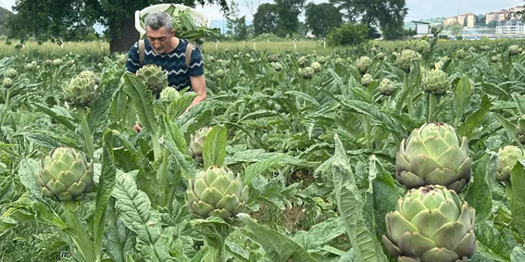 25 ülkeden öğrenciler aynı safta: Mehterle kültür köprüsü kurdular