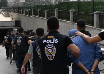 Bursa sahillerinden sevindiren haber