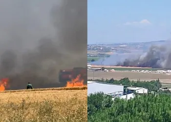 Buğday tarlaları alevlere teslim oldu