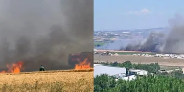 Buğday tarlaları alevlere teslim oldu