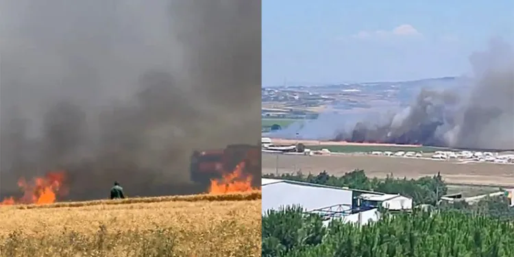 Buğday tarlaları alevlere teslim oldu