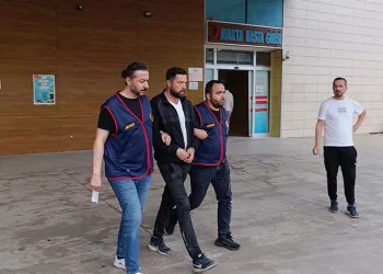 Bursa’da sıcaktan bunalan ayı kana kana su içti