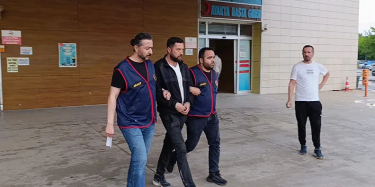 Bursa’da sıcaktan bunalan ayı kana kana su içti