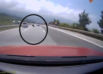 Otobanda yola fırlayan angus korku dolu anlar yaşattı