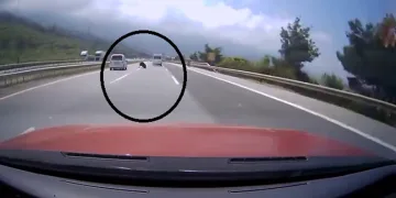 Otobanda yola fırlayan angus korku dolu anlar yaşattı