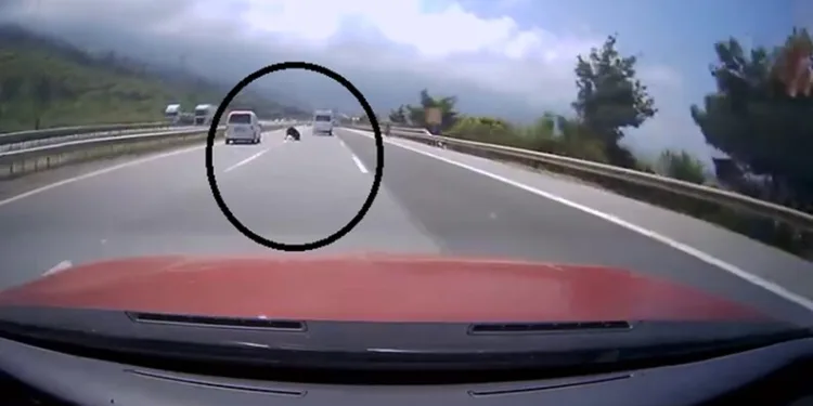 Otobanda yola fırlayan angus korku dolu anlar yaşattı