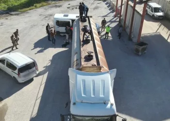 Otobanda yola fırlayan angus korku dolu anlar yaşattı