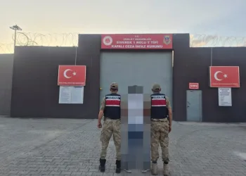 Otobanda yola fırlayan angus korku dolu anlar yaşattı