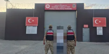 Otobanda yola fırlayan angus korku dolu anlar yaşattı