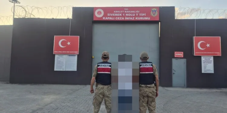 Otobanda yola fırlayan angus korku dolu anlar yaşattı