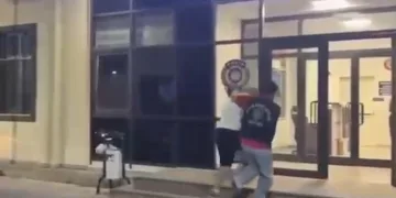 Otobanda yola fırlayan angus korku dolu anlar yaşattı